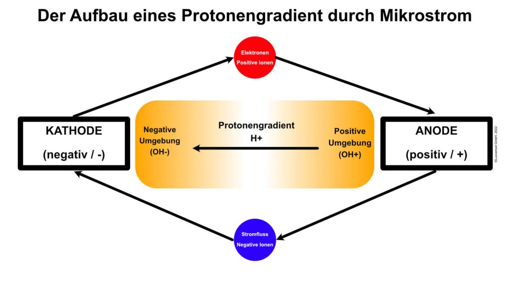 protonengradient-mikrostrom-atp