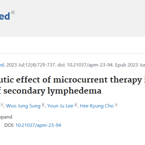 Sekundaeres Lymphoedem Mikrostromtherapie