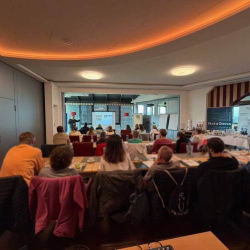 Mikrostrom verstehen statt nur anwenden: Was dich im neuen Online-Kurs (Live-Event Herbst 2025) erwartet